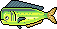 Mahi Mahi